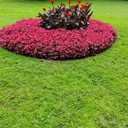 Bottrop City Park (Stadtgarten Bottrop) - Bottrop