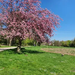 Bottrop City Park (Stadtgarten Bottrop) - Bottrop