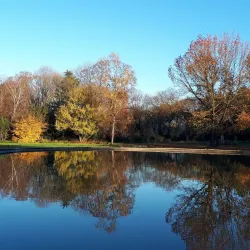 Bottrop City Park (Stadtgarten Bottrop) - Bottrop