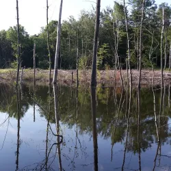 Kirchhellen Village - Bottrop