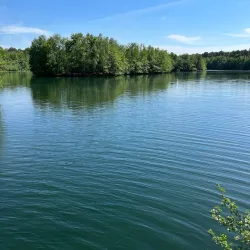 Kirchhellener Heide Nature Reserve - Bottrop