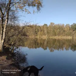 Kirchhellener Heide Nature Reserve - Bottrop