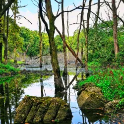 Kirchhellener Heide Nature Reserve - Bottrop