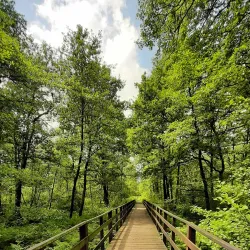 Kirchhellener Heide Nature Reserve - Bottrop