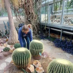 Botanischer Garten der Technischen Universität Braunschweig - Braunschweig