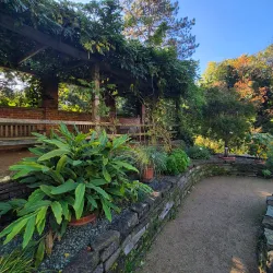 Botanischer Garten der Technischen Universität Braunschweig - Braunschweig