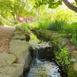 Botanischer Garten der Technischen Universität Braunschweig - Braunschweig