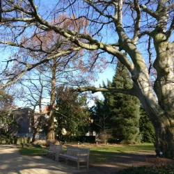 Botanischer Garten der Technischen Universität Braunschweig - Braunschweig