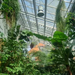 Botanischer Garten der Technischen Universität Braunschweig - Braunschweig