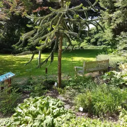 Botanischer Garten der Technischen Universität Braunschweig - Braunschweig