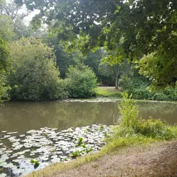 Bürgerpark Bremen - Bremen
