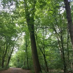 Bürgerpark Bremen - Bremen