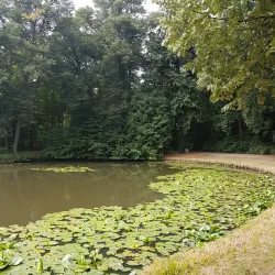 Bürgerpark Bremen - Bremen