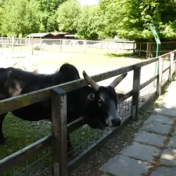 Bürgerpark Bremen - Bremen