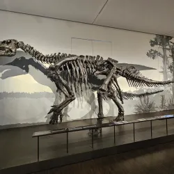 Overseas Museum Bremen (Übersee-Museum) - Bremen