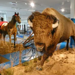 Overseas Museum Bremen (Übersee-Museum) - Bremen