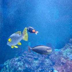 Climate House Bremerhaven 8° East - Bremerhaven