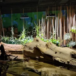 Klimahaus Bremerhaven 8° Ost - Bremerhaven