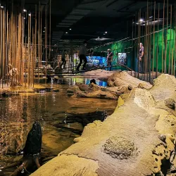 Klimahaus Bremerhaven 8° Ost - Bremerhaven