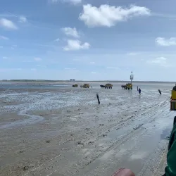 Wadden Sea National Park - Bremerhaven