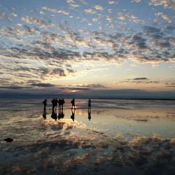 Wadden Sea National Park - Bremerhaven