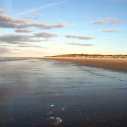 Wadden Sea National Park - Bremerhaven