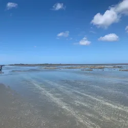 Wadden Sea National Park - Bremerhaven