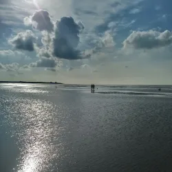 Wadden Sea National Park - Bremerhaven