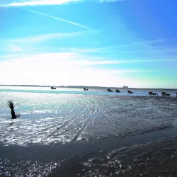 Wadden Sea National Park - Bremerhaven