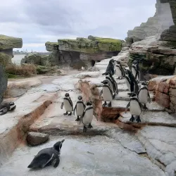Zoo at the Sea (Zoo am Meer) - Bremerhaven