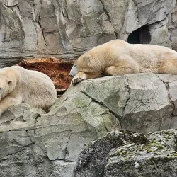 Zoo at the Sea (Zoo am Meer) - Bremerhaven