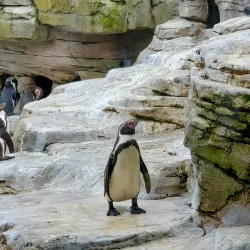 Zoo at the Sea (Zoo am Meer) - Bremerhaven