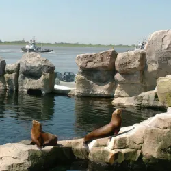 Zoo at the Sea (Zoo am Meer) - Bremerhaven