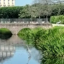 Brühl Gardens - Bruhl