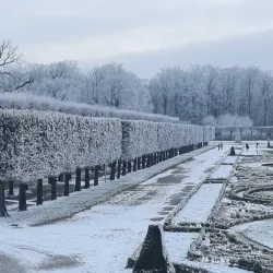 Brühl Gardens - Bruhl