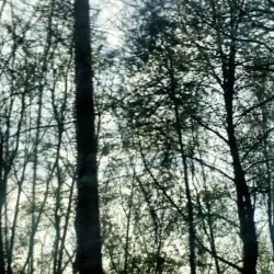 Brühl Theater - Bruhl