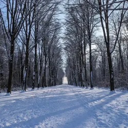 Schlosspark Brühl - Bruhl