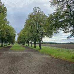Schlosspark Brühl - Bruhl