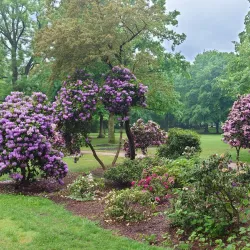 Schlossteich Park - Chemnitz