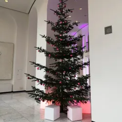 Theater Chemnitz - Chemnitz