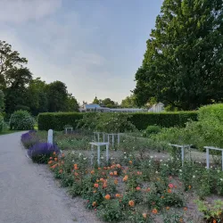 Rosengarten Coburg - Coburg