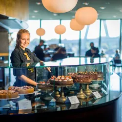 Chocolate Museum (Schokoladenmuseum) - Cologne