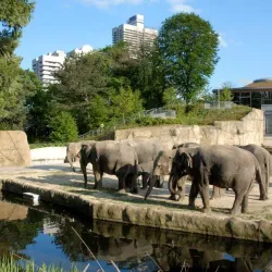 Cologne Zoo - Cologne