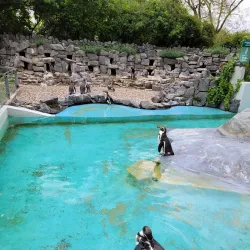 Cologne Zoo - Cologne