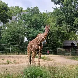 Cologne Zoo - Cologne