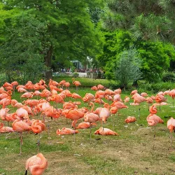 Cologne Zoo - Cologne