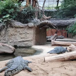 Cologne Zoo - Cologne