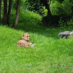 Cologne Zoo - Cologne