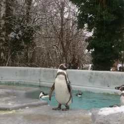 Cologne Zoo - Cologne