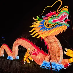 Cologne Zoo - Cologne